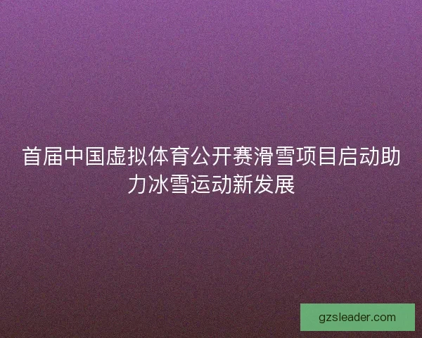 首届中国虚拟体育公开赛滑雪项目启动助力冰雪运动新发展